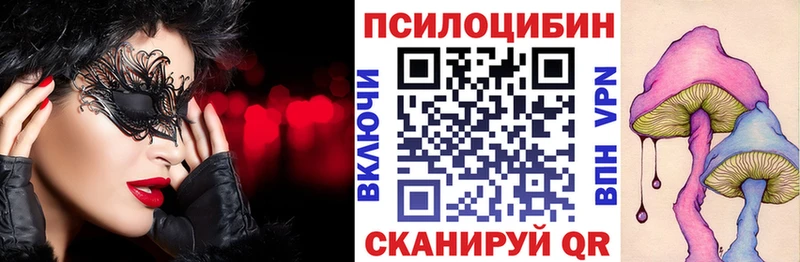 Псилоцибиновые грибы мицелий  где найти   Зеленоградск 